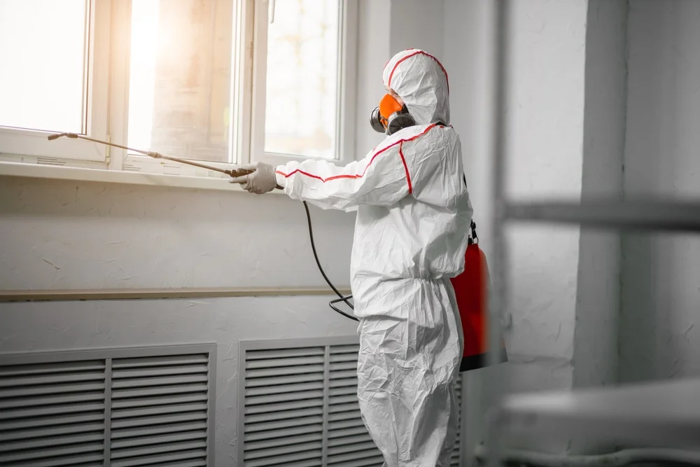 Professional mold remediation services in Overpeck, OH